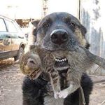 John Robertshaw - Instagram Profile Picture of John Robertshaw (@john_robertshaw) on Instagram