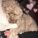 Profile Picture of Caroline Schultz (@cario1234) on Pinterest