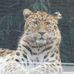 Profile Picture of Benoit Prevost (@benoit.prevost.180) on Facebook