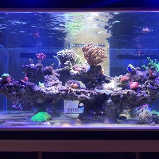 Profile Picture of 火柴🔥 (@feng.daniel) on Instagram