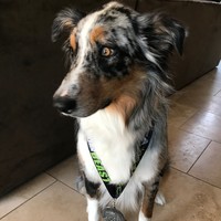 Profile Picture of Arkadiy Reznik (@arkadiy-reznik) on Quora