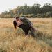 Profile Picture of Emily Constable (@emilymconstable) on Pinterest