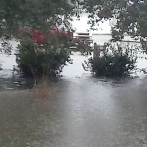 Profile Picture of Clarence Crowell (@crowellclarence) on Poshmark