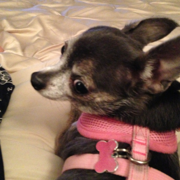 Profile Picture of Joetye Conaboy (@jlc429) on Poshmark