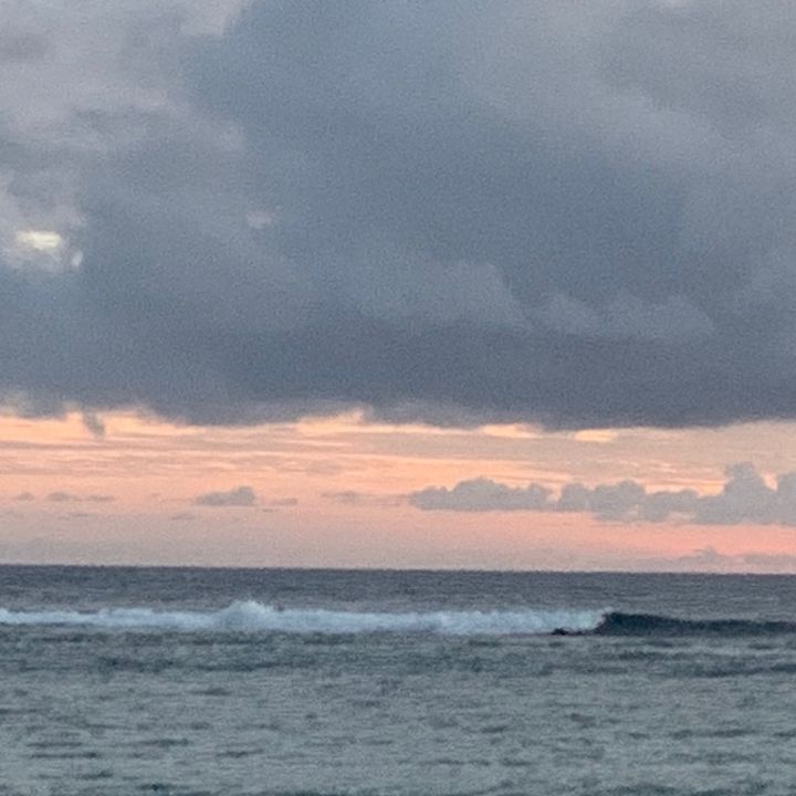 Profile Picture of renatemcmullen (@rmmcmulls) on Tiktok