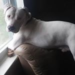Profile Picture of Brenda York (@davidbrenda.southers) on Instagram