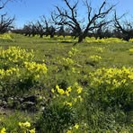 Profile Picture of Sijia Li (@Sijia-Li) on Facebook