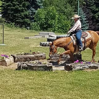 Profile Picture of Jean Fothergill (@jeanfothergill) on Instagram