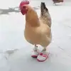 Profile Picture of Adam (@clickertho) on Tiktok