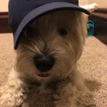 Profile Picture of Ryan Grauer (@ryangrauer) on Instagram