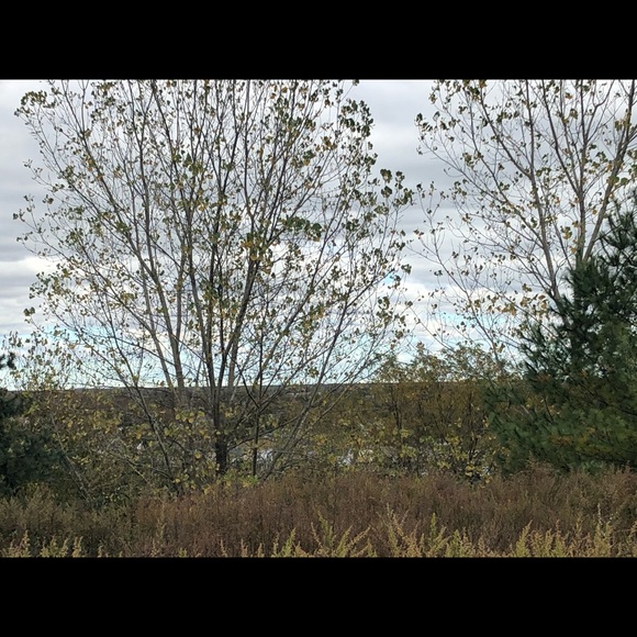 Profile Picture of Leanne Cossu (@joeleecossu) on Poshmark