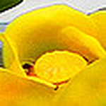 Nikki Isham - Flickr Profile Picture of Nikki Isham (@nikkiisham1) on Flickr