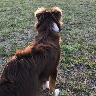 Profile Picture of Shawn (@shawnschoen666) on Twitter