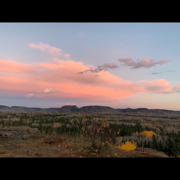 Shannon Mckitrick - Poshmark Profile Picture of Shannon Mckitrick (@shannonmckit) on Poshmark