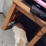 Profile Picture of Joseph McCutcheon (@Joseph-McCutcheon) on Facebook