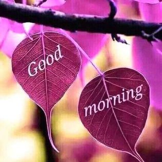 AnjiReddy - Twitter Profile Picture of AnjiReddy (@anjiReddy1917) on Twitter