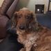 Profile Picture of Otis Roberts (@otis.roberts.14) on Facebook