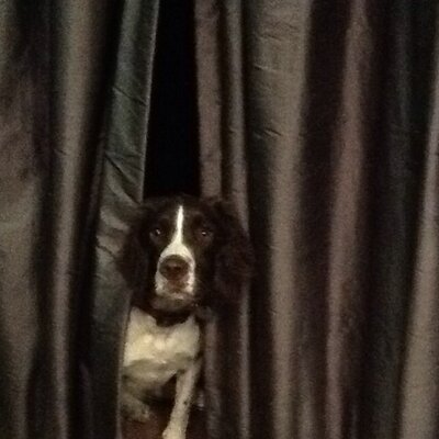 Profile Picture of Julia Bragg (@joolsbragg) on Twitter
