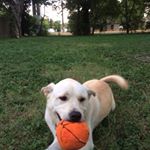 Profile Picture of Bonnie Clauss (@bclauss1) on Instagram