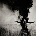 Profile Picture of schattenkrieger (@lakokain) on Instagram