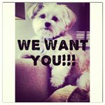 Profile Picture of John Cuddy (@taratemire) on Instagram