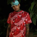 Profile Picture of Chris Brawn (@chris_brawn_cuenta_oficial) on Instagram