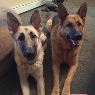 Matt Vanalstyne - Facebook Profile Picture of Matt Vanalstyne (@matt.vanalstyne.1) on Facebook