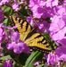 Profile Picture of Diane Patterson (@diane.patterson.9279) on Facebook