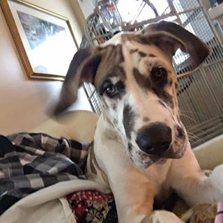 Profile Picture of Dawn Litten (@dawn.litten) on Facebook