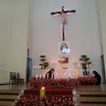 Profile Picture of Myvan Nguyen (@myvan.nguyen.98434) on Instagram