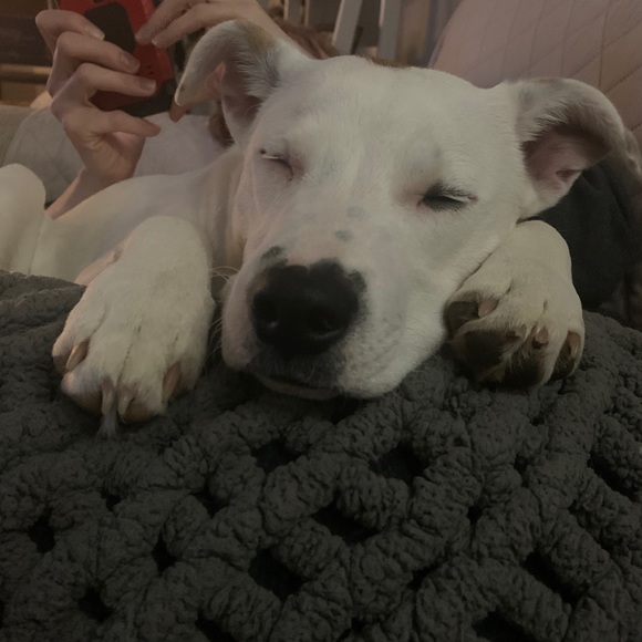 Profile Picture of Jeff Fairman (@jeff2407) on Poshmark