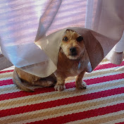 Profile Picture of Suzanne Ramsay (@suzanneramsay5053) on Youtube