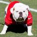 Profile Picture of Kenneth Stroud (@kenney49) on Pinterest