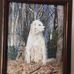 Profile Picture of John Jessen (@john.jessen.7370) on Facebook