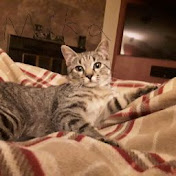 Ethan Armstrong - Youtube Profile Picture of Ethan Armstrong (@ethanarmstrong9676) on Youtube