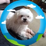 Profile Picture of Darlene Harrell (@darlene.harrell.848807) on Facebook