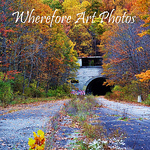 Profile Picture of Wherefore Art Photos (@Wherefore Art Photos) on Flickr