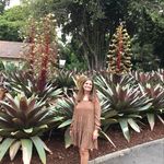 Profile Picture of Luann Meyers (@lulucrackers) on Instagram