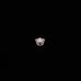Profile Picture of Sam Lev (@Sam-Lev) on Facebook