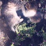 Profile Picture of alejandromurias (@alejandromurias5) on Instagram