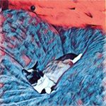 Profile Picture of kyle (@kyle_anderson7406) on Instagram