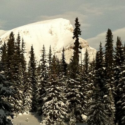 Profile Picture of Paul Ulmer (@PaulUlmer) on Twitter