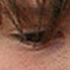 Profile Picture of Joe Lever (@Joe - please comment on pics!) on Flickr