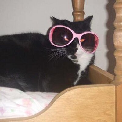 Profile Picture of Pittsnogle (@PittSnogs) on Twitter
