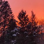 Profile Picture of Tammy Fickies (@lakemichgirl05) on Instagram