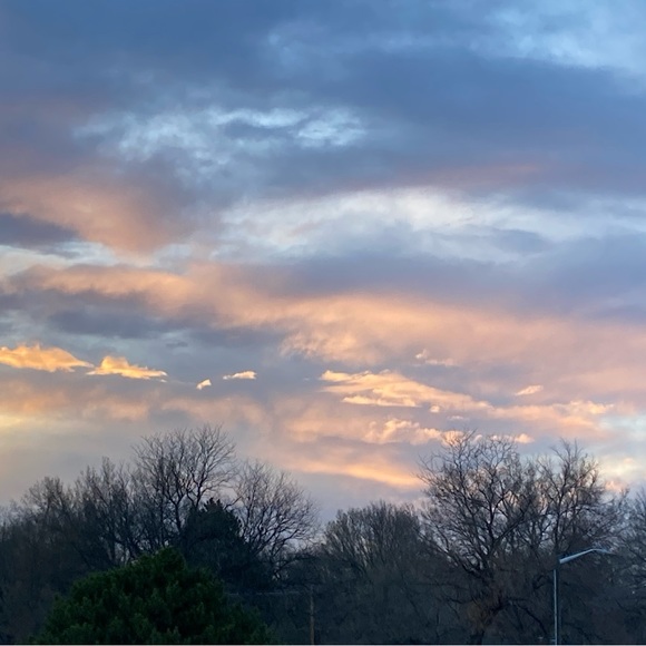 Profile Picture of Madeline Policano (@mpolicano056) on Poshmark