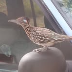 Profile Picture of Guadalupe Montemayor Dleon (@Guadalupe-Montemayor-Dleon) on Facebook