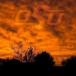 Profile Picture of Dr. Steve Cantrell (@C3Cattle) on Twitter