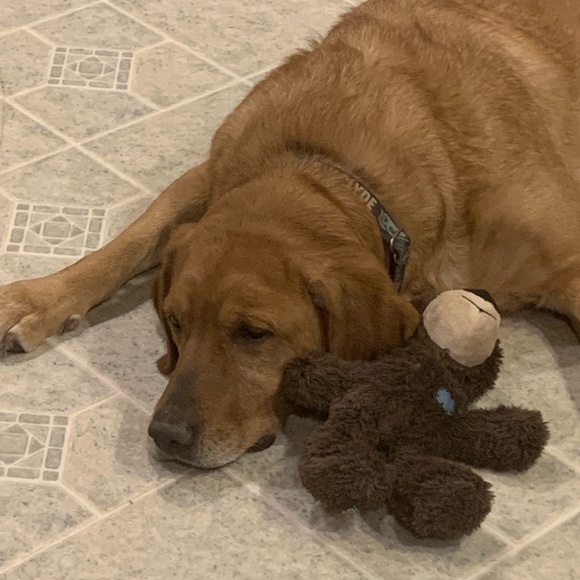 Profile Picture of Amanda Dinges (@aberry0916) on Poshmark