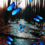 Profile Picture of 𝕔𝕙𝕖𝕫 𝕞𝕠𝕚 𝕡𝕖𝕣𝕖 (@kim_coucher_du_soleil) on Instagram